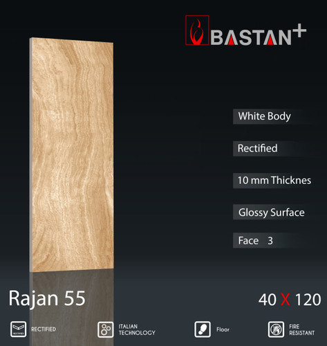 کاشی و سرامیک بدنه سفید 120×40 راژان گردویی 6254 (T55) (باستان)