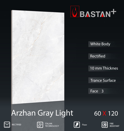 کاشی و سرامیک بدنه سفید 120×60 آرژان طوسی روشن (T) (باستان)