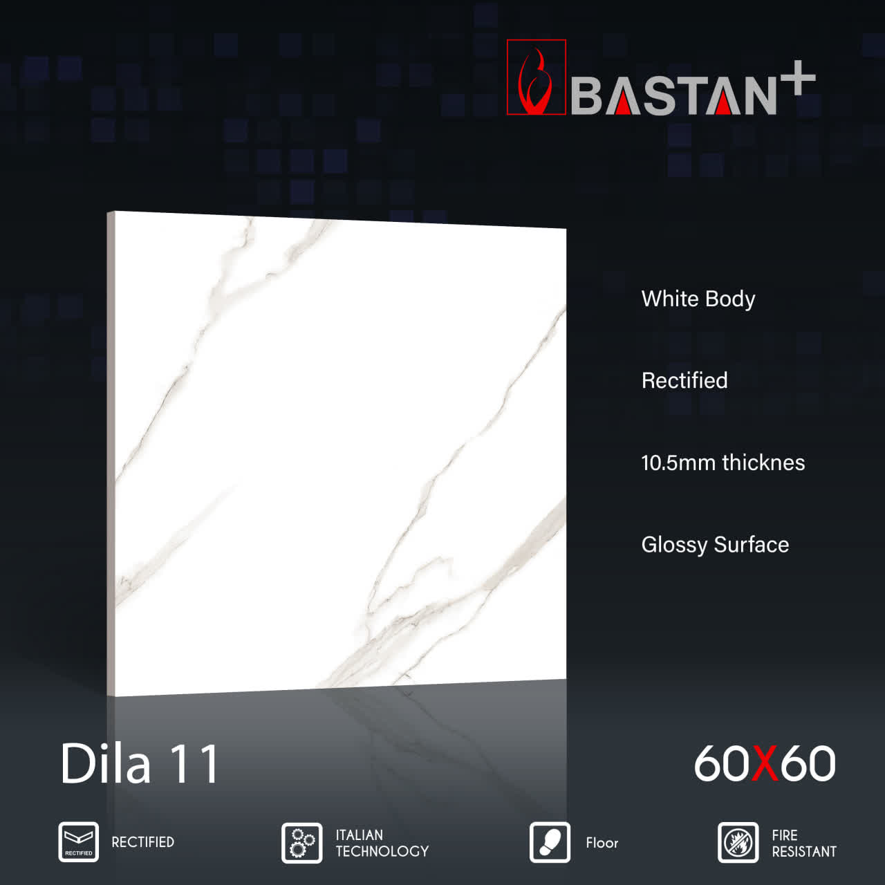 کاشی و سرامیک  بدنه سفید 60×60 دیلا طوسی 6269 (براق 11) (باستان)