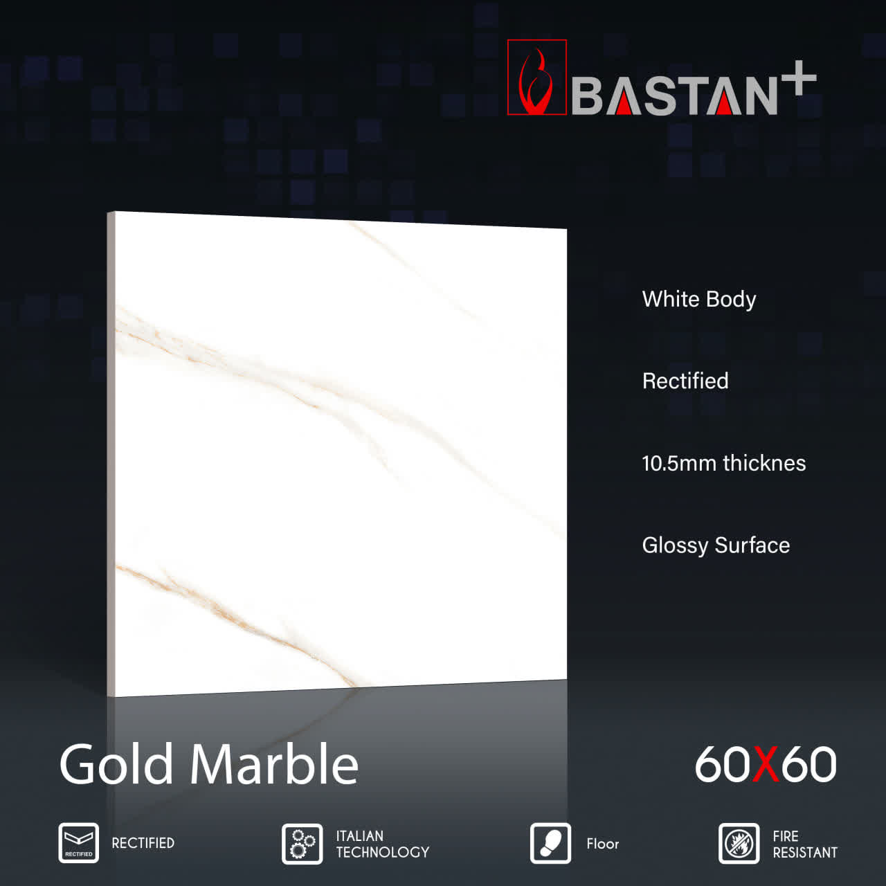 کاشی و سرامیک  بدنه سفید 60×60 گلدماربل 5136 (براق 22) (باستان)