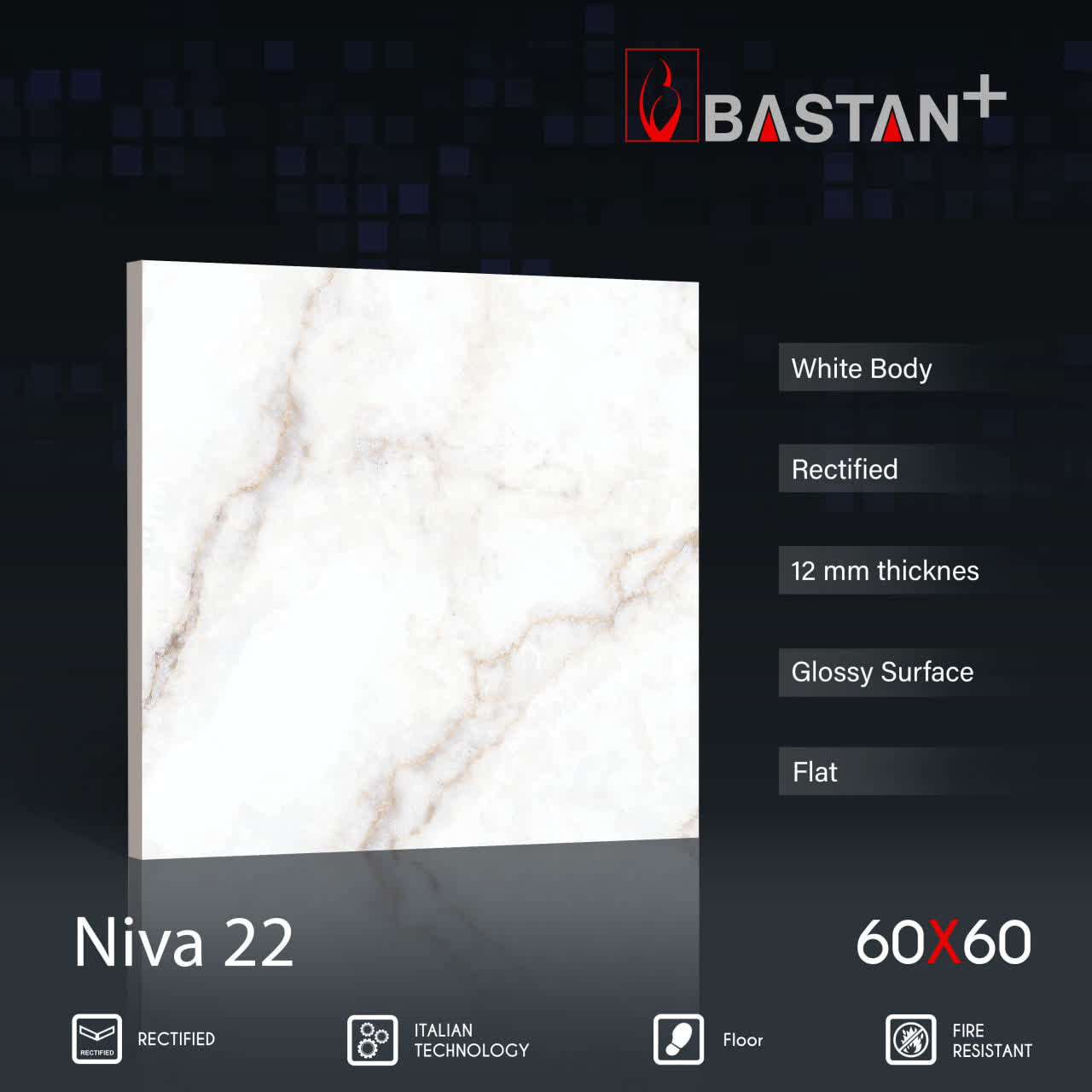 کاشی و سرامیک  بدنه سفید 60×60 نیوا 5856 (براق 22) ضخامت بالا