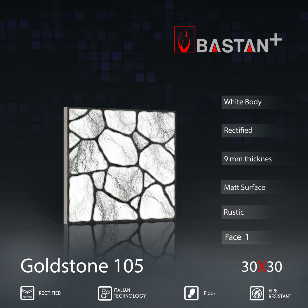 کاشی و سرامیک  بدنه سفید 30×30 گلداستون 6004 (مات 105)