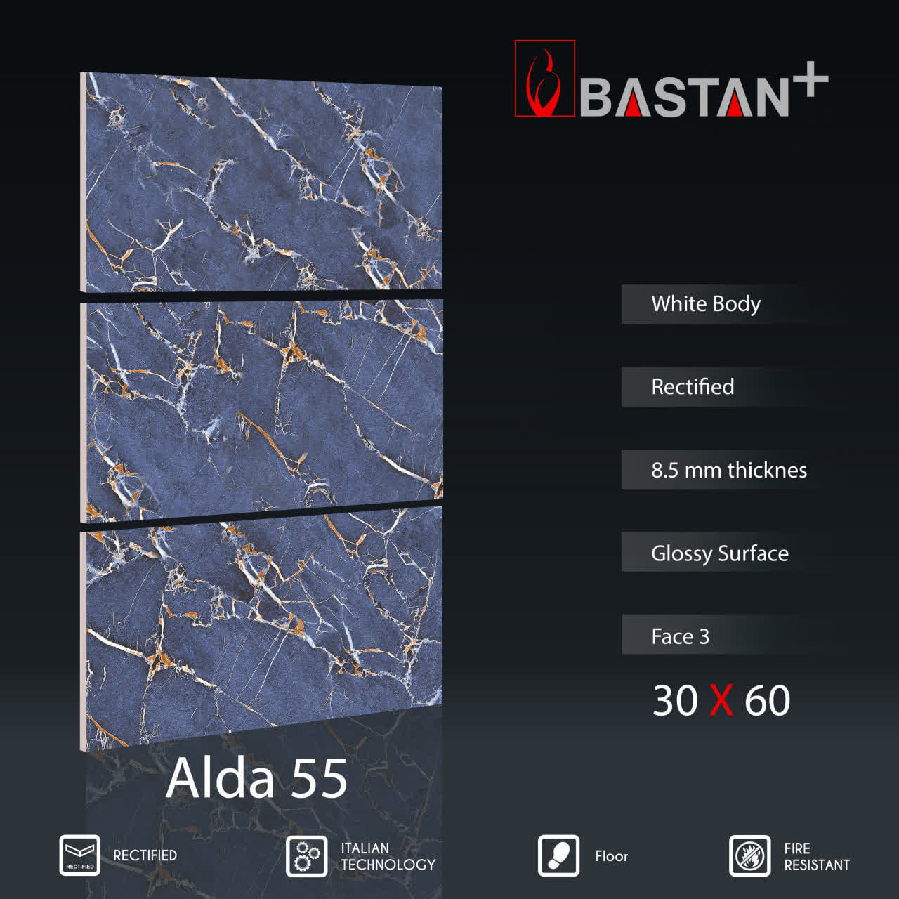 کاشی و سرامیک  بدنه سفید 60×30 آلدا آبی 5597 (براق 55)
