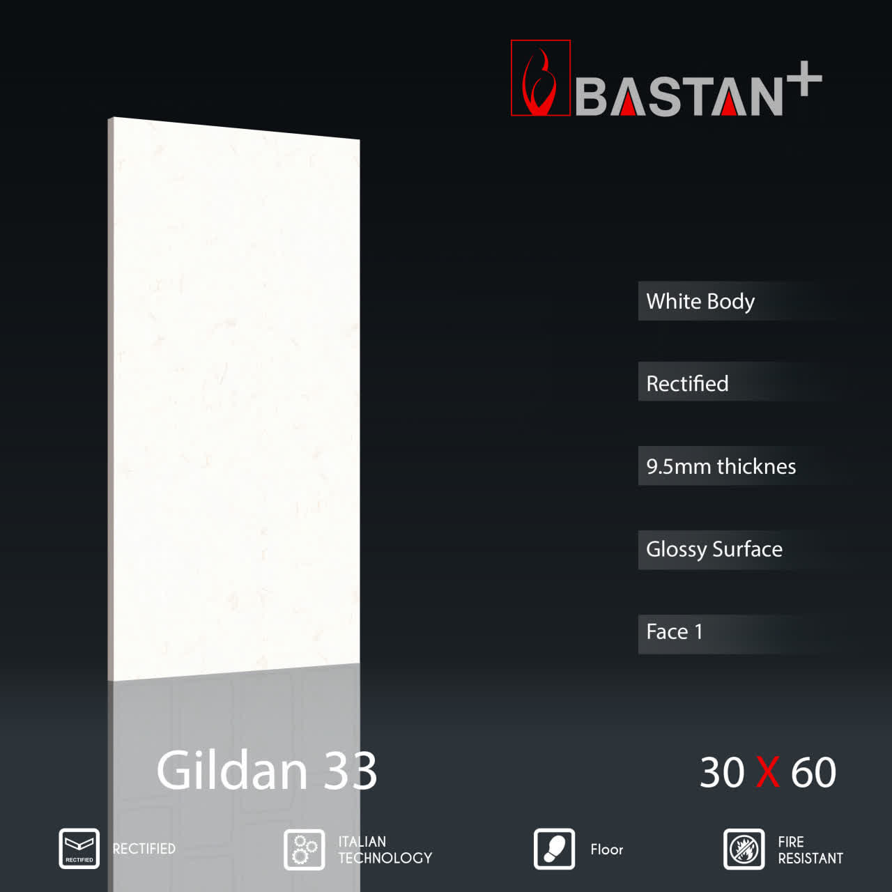 کاشی و سرامیک  بدنه سفید 60×30 گیلدان 5774 (براق 33)