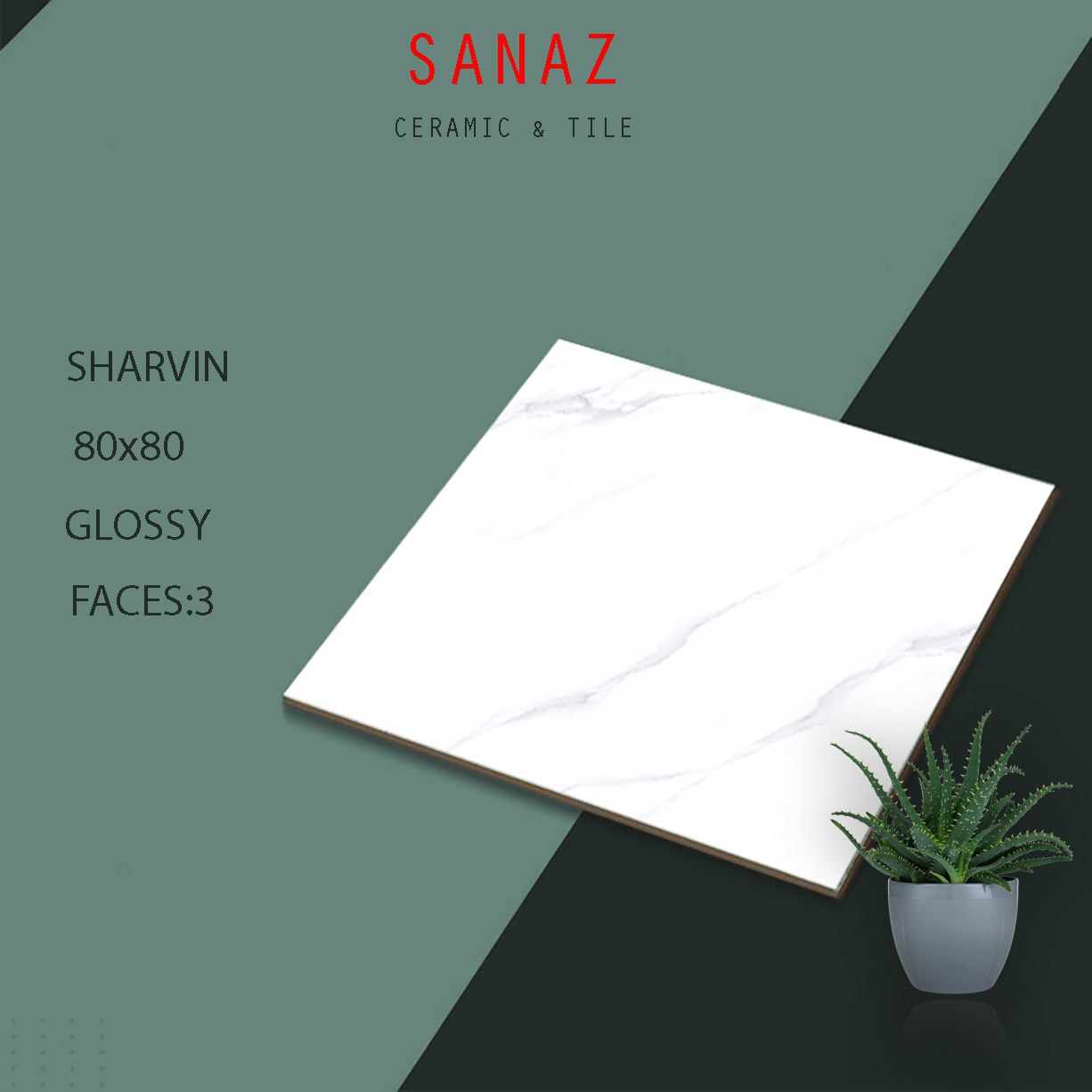 کاشی ساناز شاروین 80×80