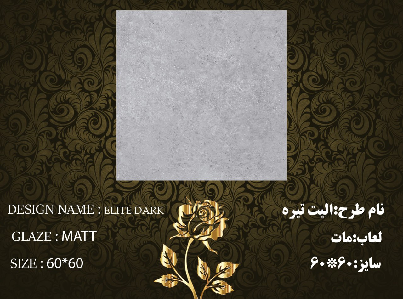 کاشی و سرامیک ساناز کف  سایز 60*60  اليت تيره مات طیف 66