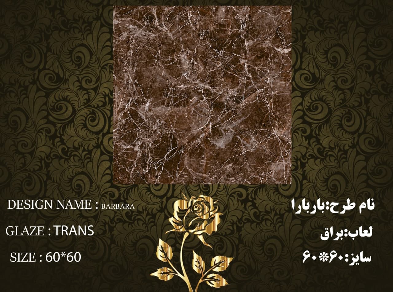 کاشی و سرامیک ساناز کف سایز 60*60  باربارا براق طیف 65