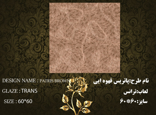 کاشی و سرامیک ساناز کف * سایز 6060 * پاتريس قهوه اي براق * طیف 65