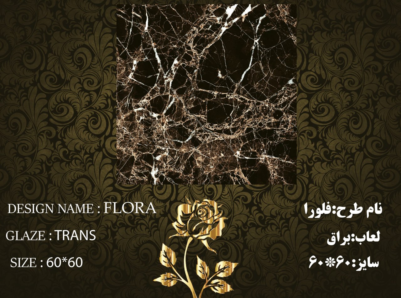 کاشی و سرامیک ساناز کف * سایز 6060 * فلورا براق * طیف 67