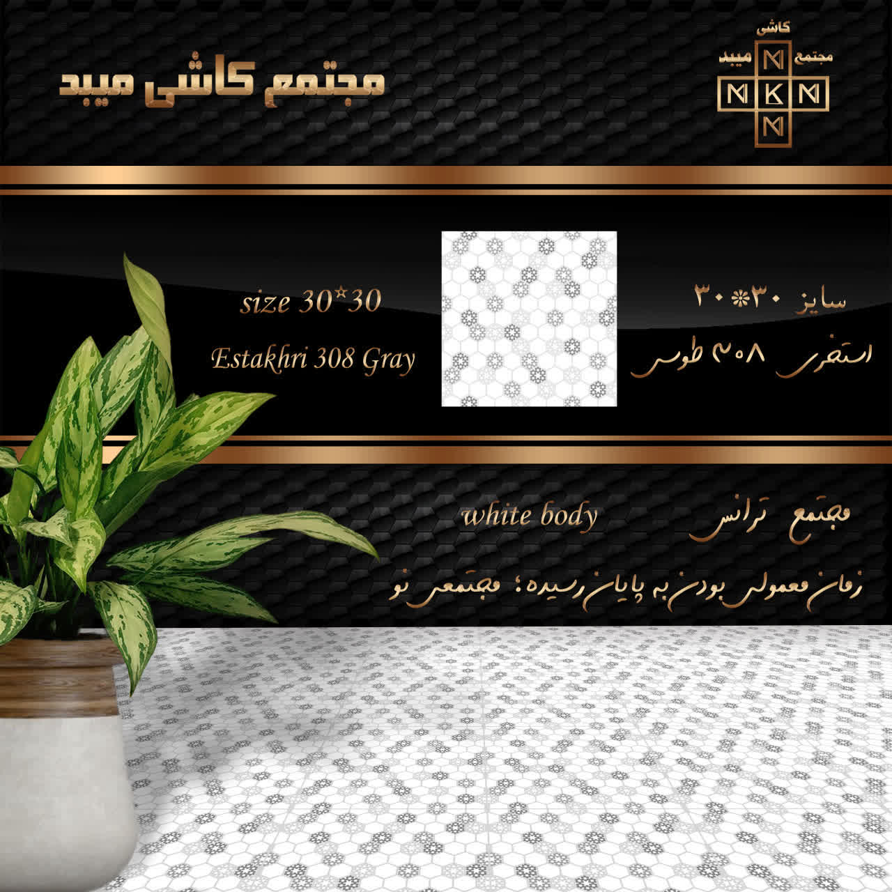 کاشی مجتمع استخری طوسی 30×30 رستیک ترانس